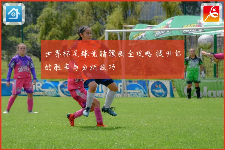 世界杯足球竞猜预测全攻略 提升你的胜率与分析技巧