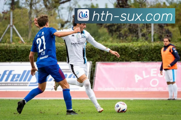 华体会平台展示图