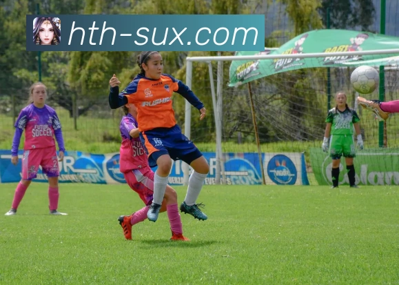 华体会官网全站App